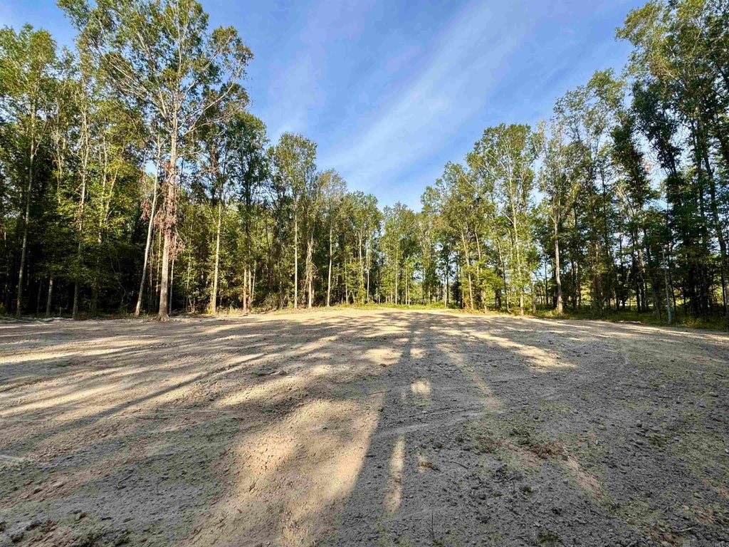 Sf-10 La Hwy 16, Denham Springs