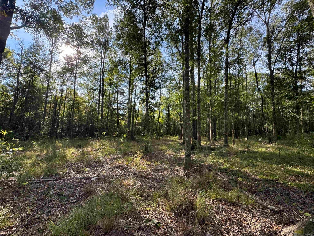 Sf-13&14 La Hwy 16, Denham Springs