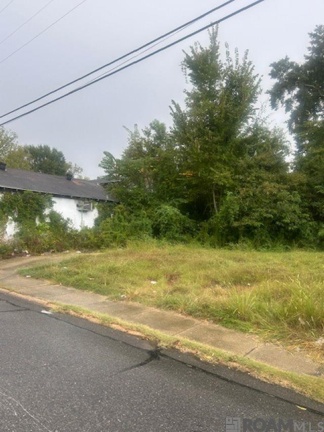 616 Lorri Burgess Ave, Baton Rouge