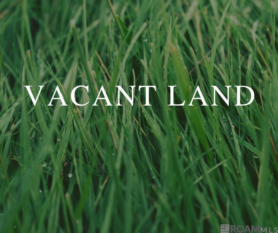 4.91 Acres King David, Denham Springs