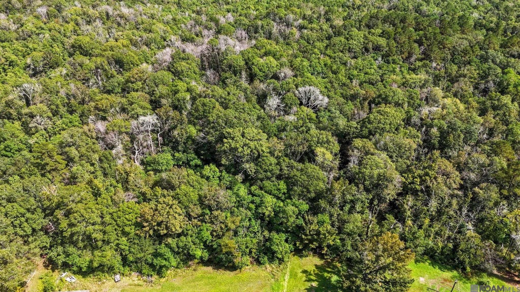 13-a Carmen Dr, Denham Springs