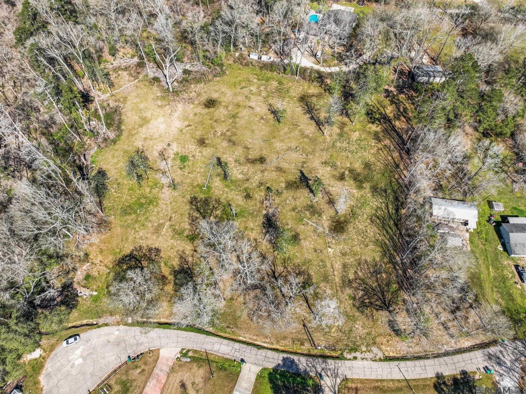 6987 Chandler Bluff Rd, Denham Springs