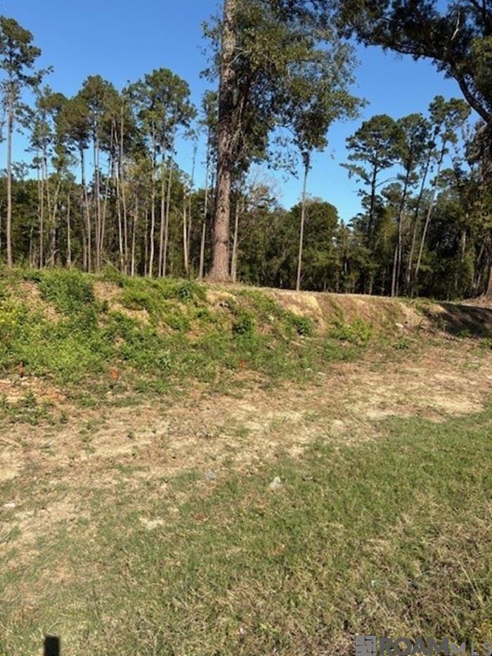 24087 La Hwy 22 Highway, Maurepas