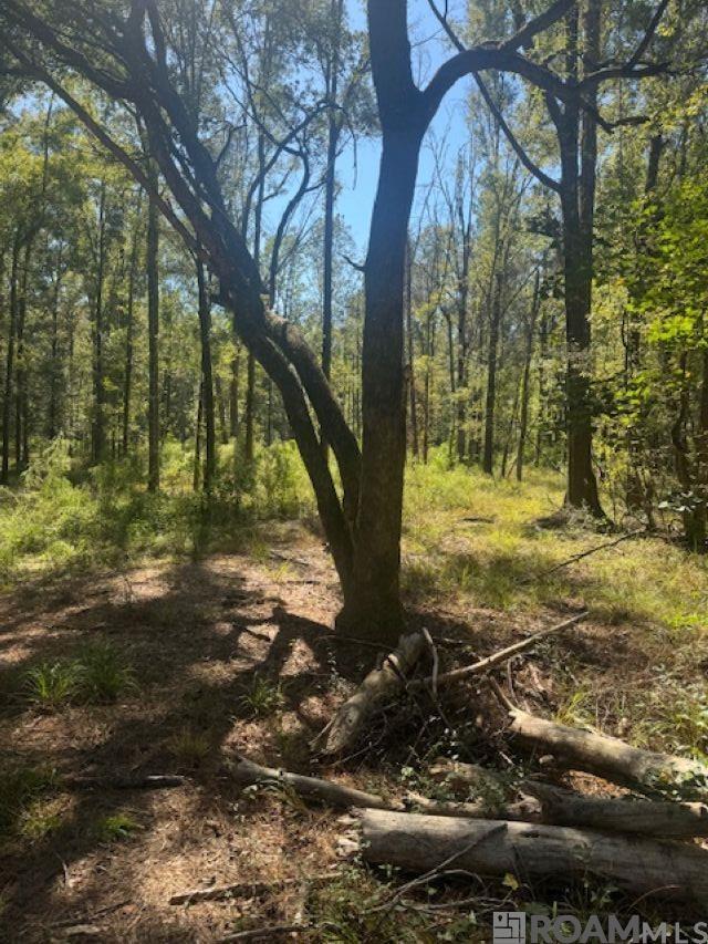 Otto Odom Cir, Denham Springs