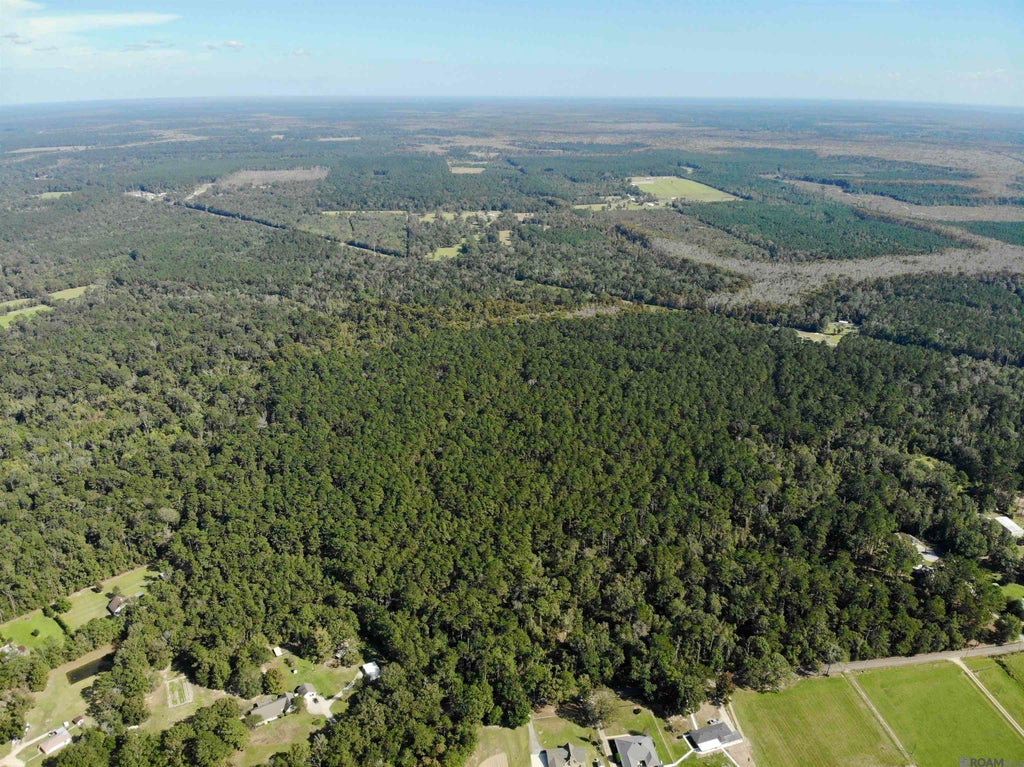 Tbd Guitreau Rd, Livingston