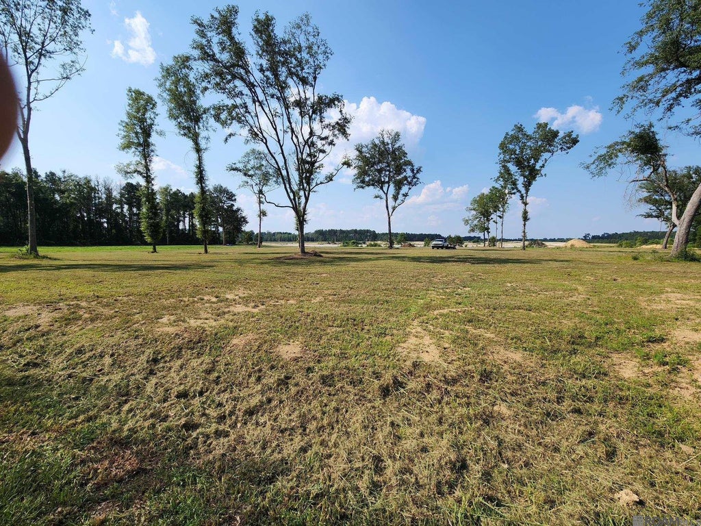 3390 Nesom Rd, Denham Springs