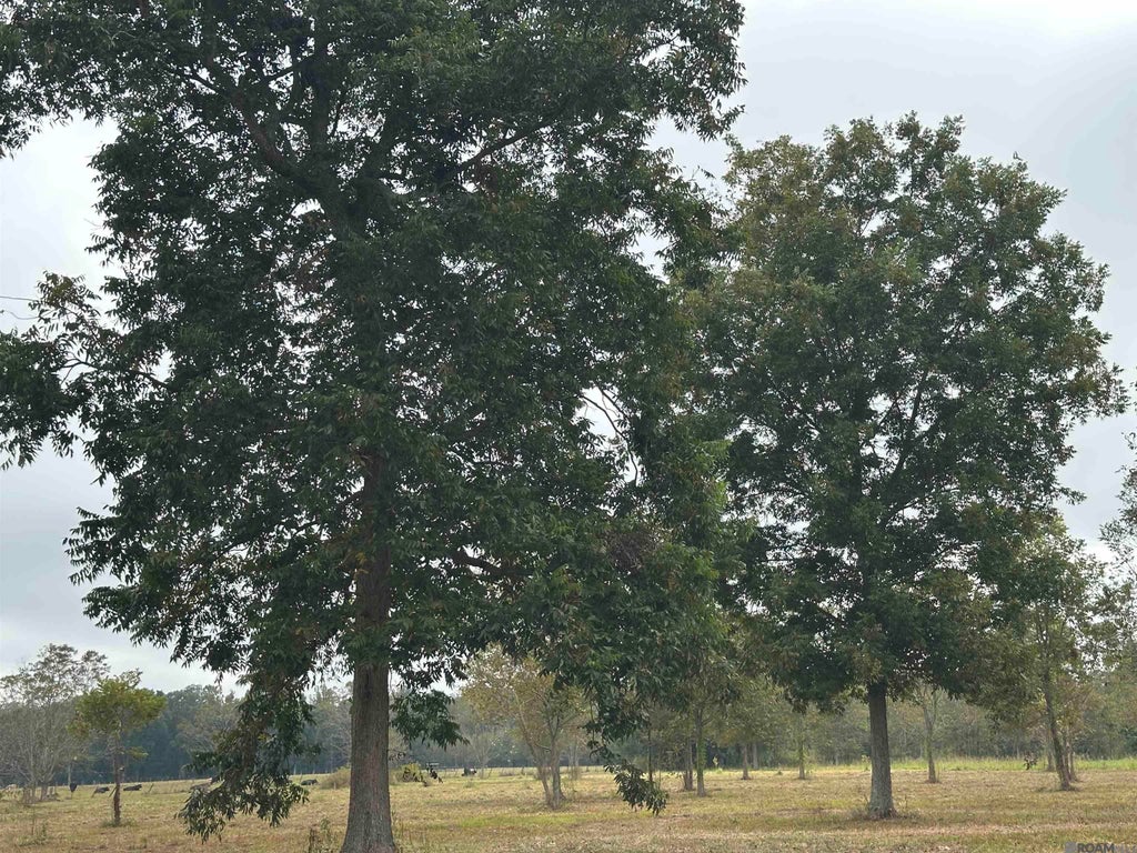 8874 Elton St, Livonia