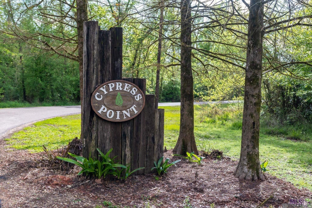 15898 Cypress Point Ln, French Settlement