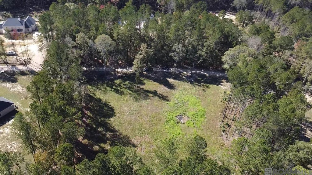 137 Burkett Ln, Denham Springs