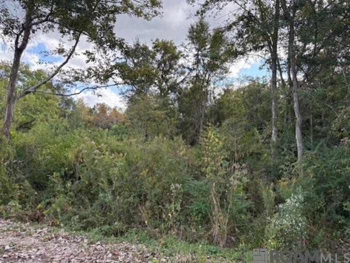 Cornerview Rd, Gonzales