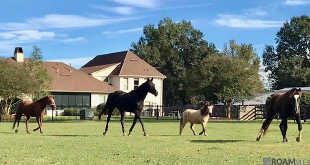 14247 Blackwater Rd, Central