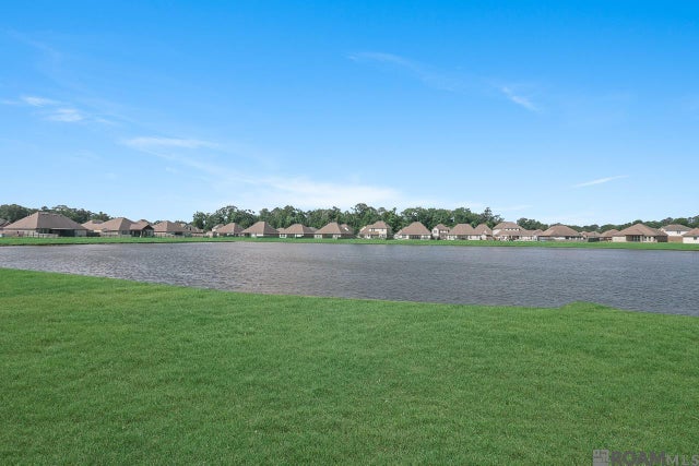 17527 Eagles Perch Dr, Prairieville