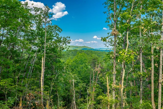 Photo of Listing #1396221