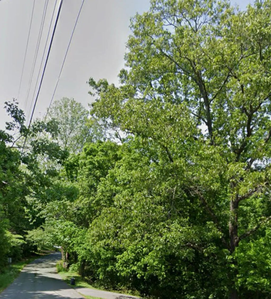 Tinkerbell Circle, Flintstone