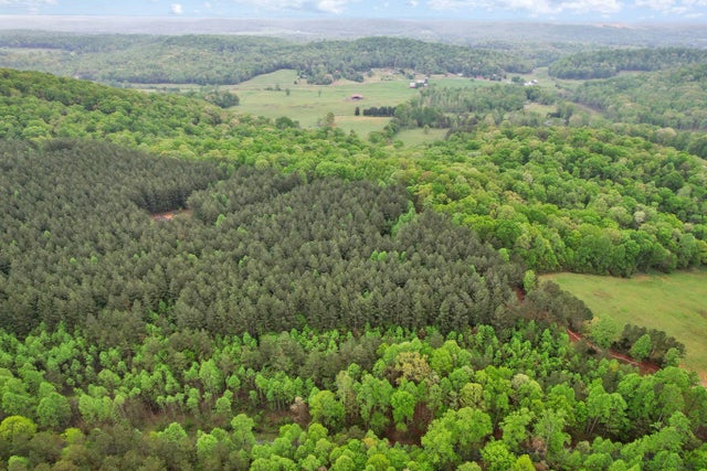 Photo of Listing #1511527