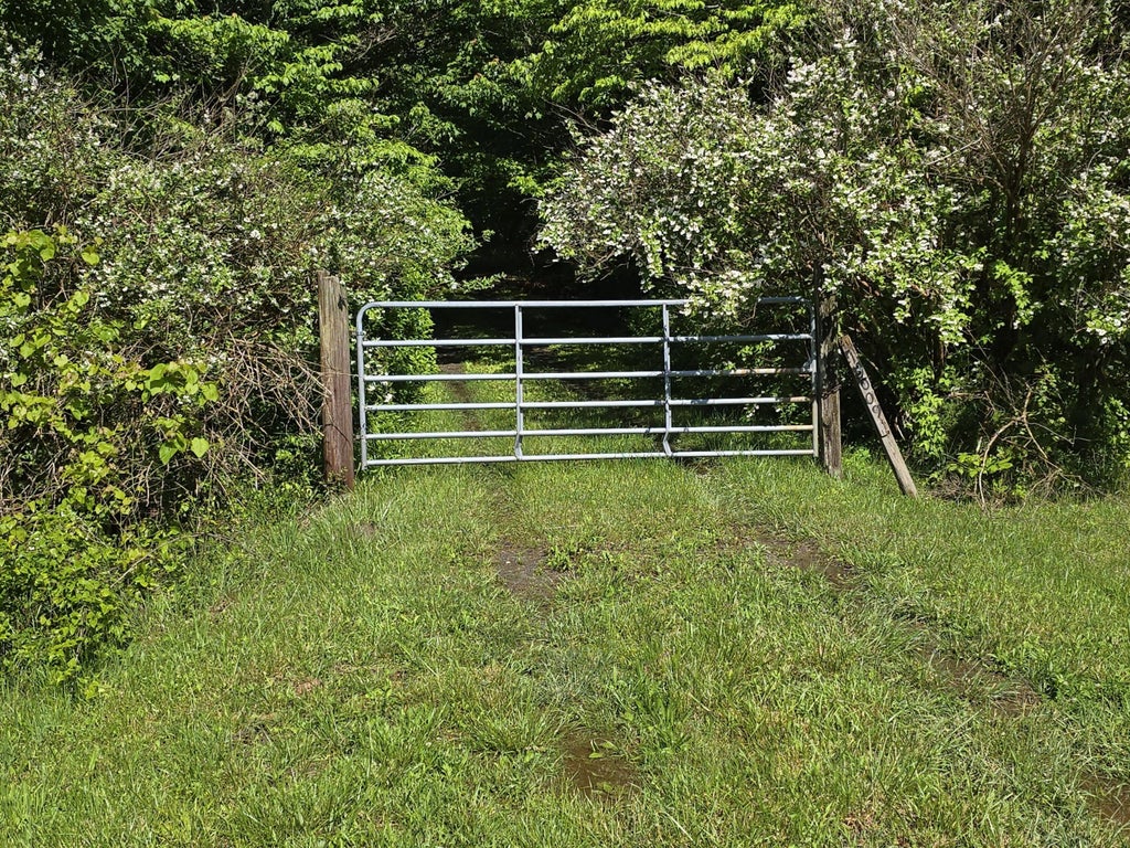 157 Highway, Rising Fawn