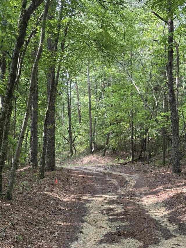 Photo of Listing #1513202