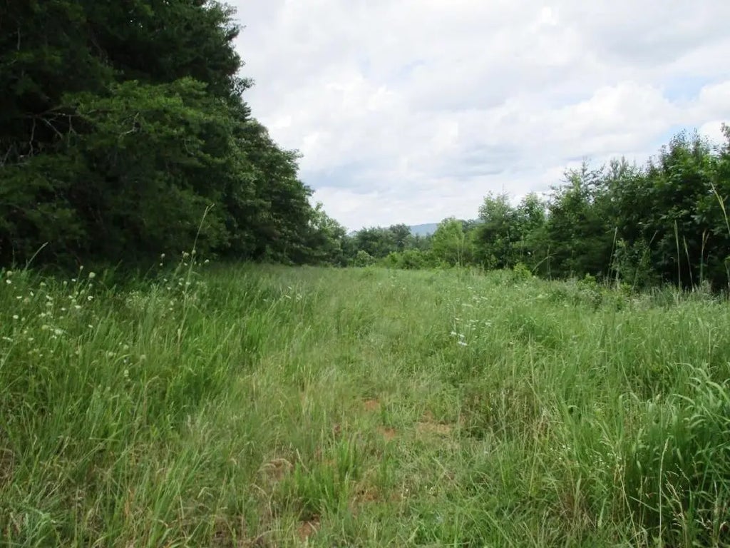 8827 Ooltewah Cemetery Road, Ooltewah