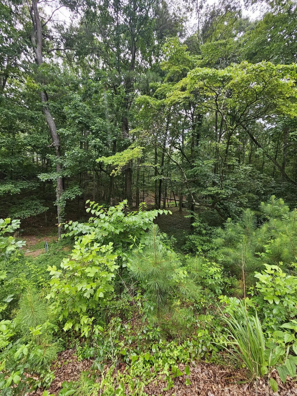 Pineywood Drive, Ringgold