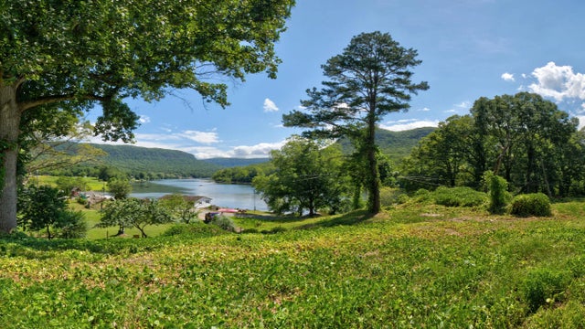 Photo of Listing #1517697