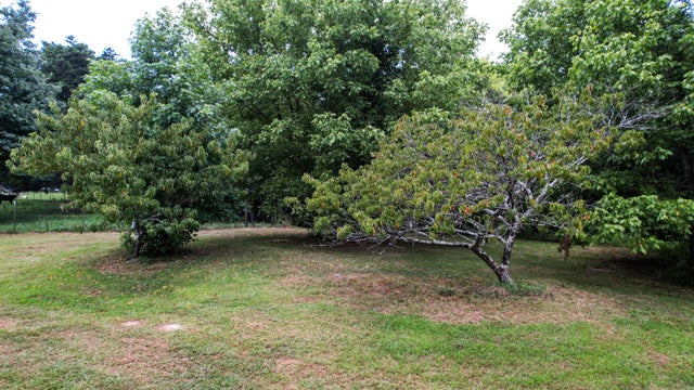 Photo of Listing #1516858