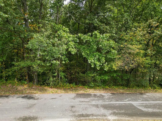 Photo of Listing #1520973