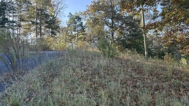 Photo of Listing #1522771