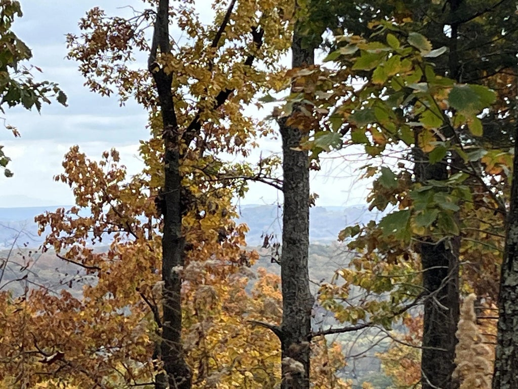 8037 Rocky Ledge Drive, Hixson