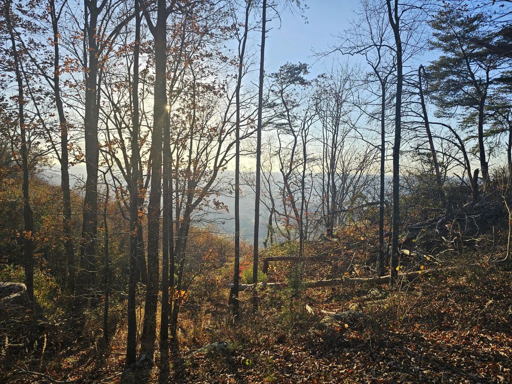 407 Brow Wood Lane, Lookout Mountain