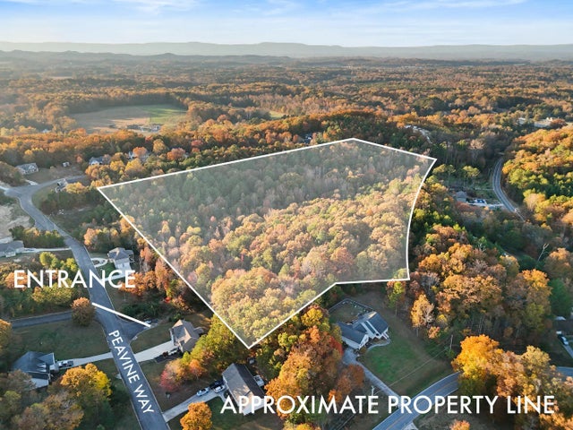 Photo of Listing #1523862