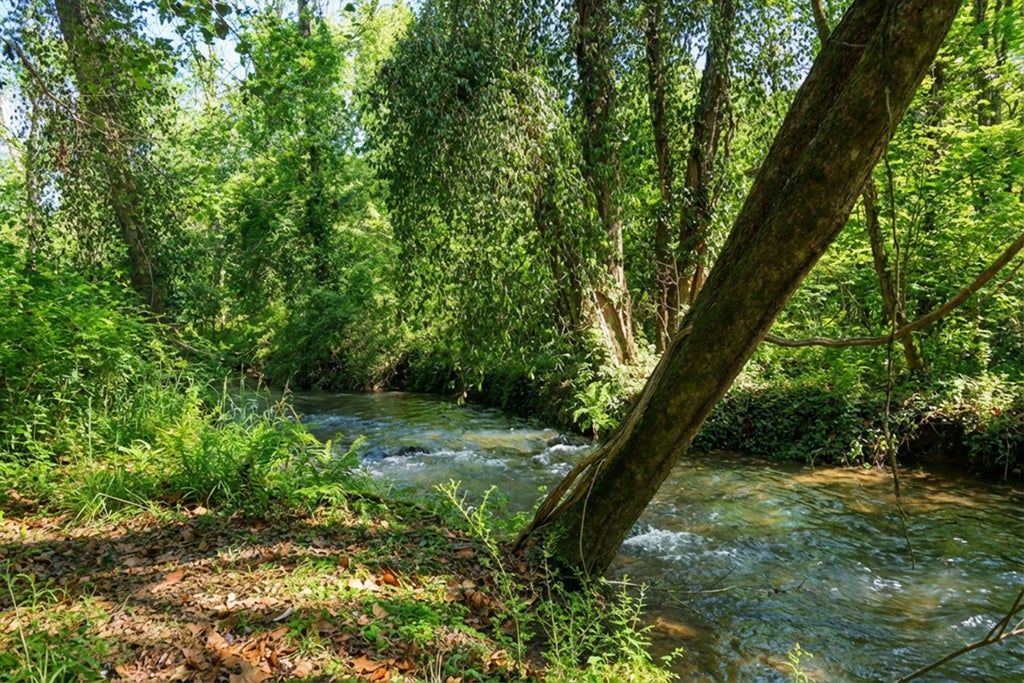 1282 Riverbank Ridge, Chattanooga