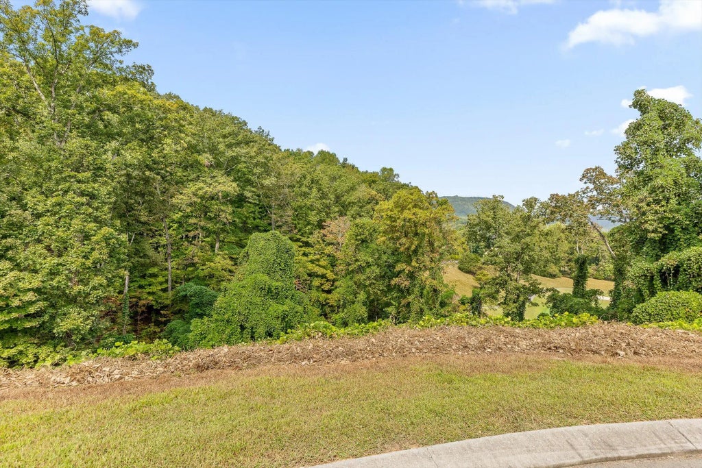 587 Kestrel Lane, Chattanooga