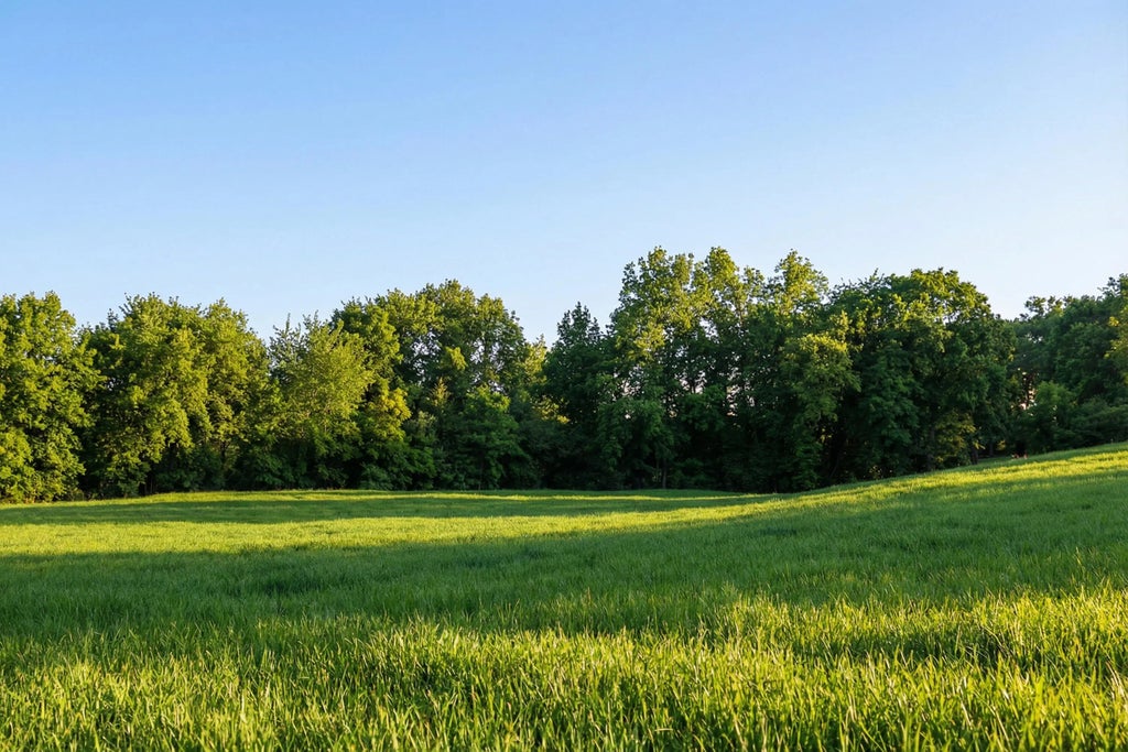 1154 Luptonville Crossing, Chattanooga