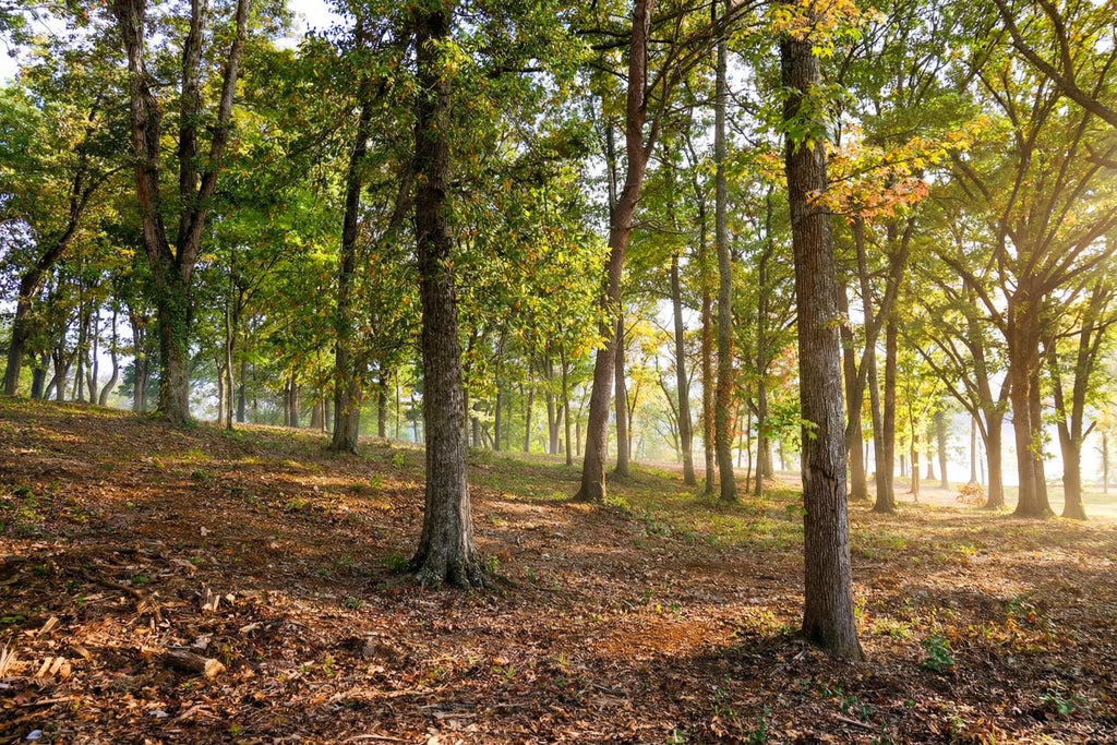 1054 Riverbank Ridge, Chattanooga