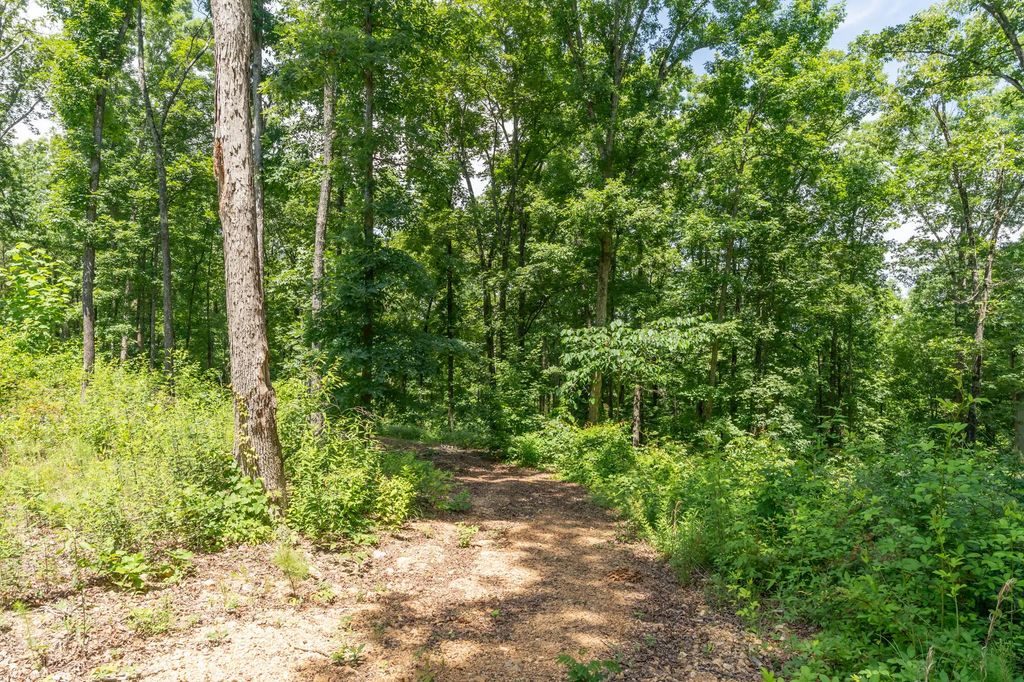 8833 Kelso Lane, Chattanooga