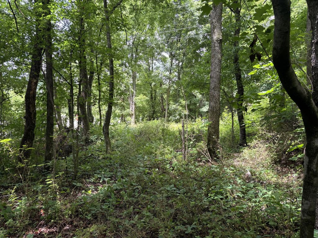 Bellfounte Road, Cleveland