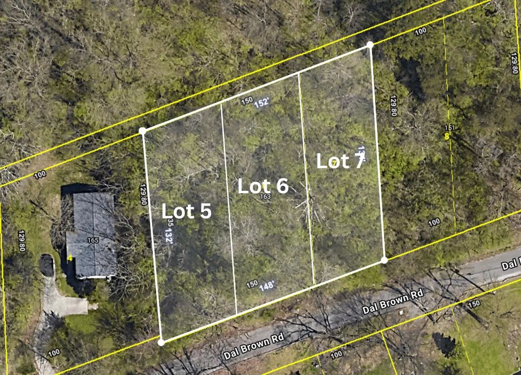 163 Dal Brown Road, Chattanooga