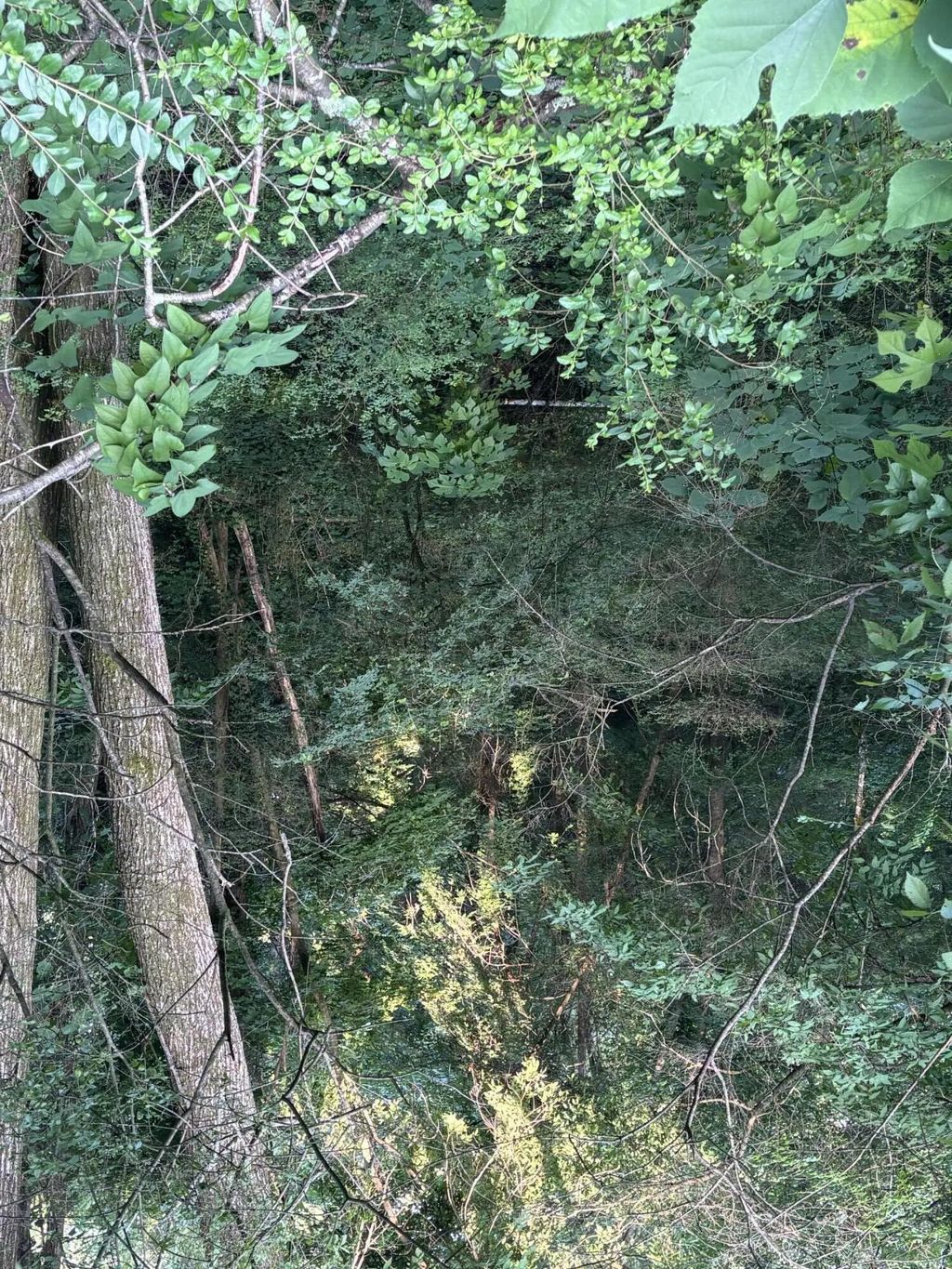Robin Circle, Rossville
