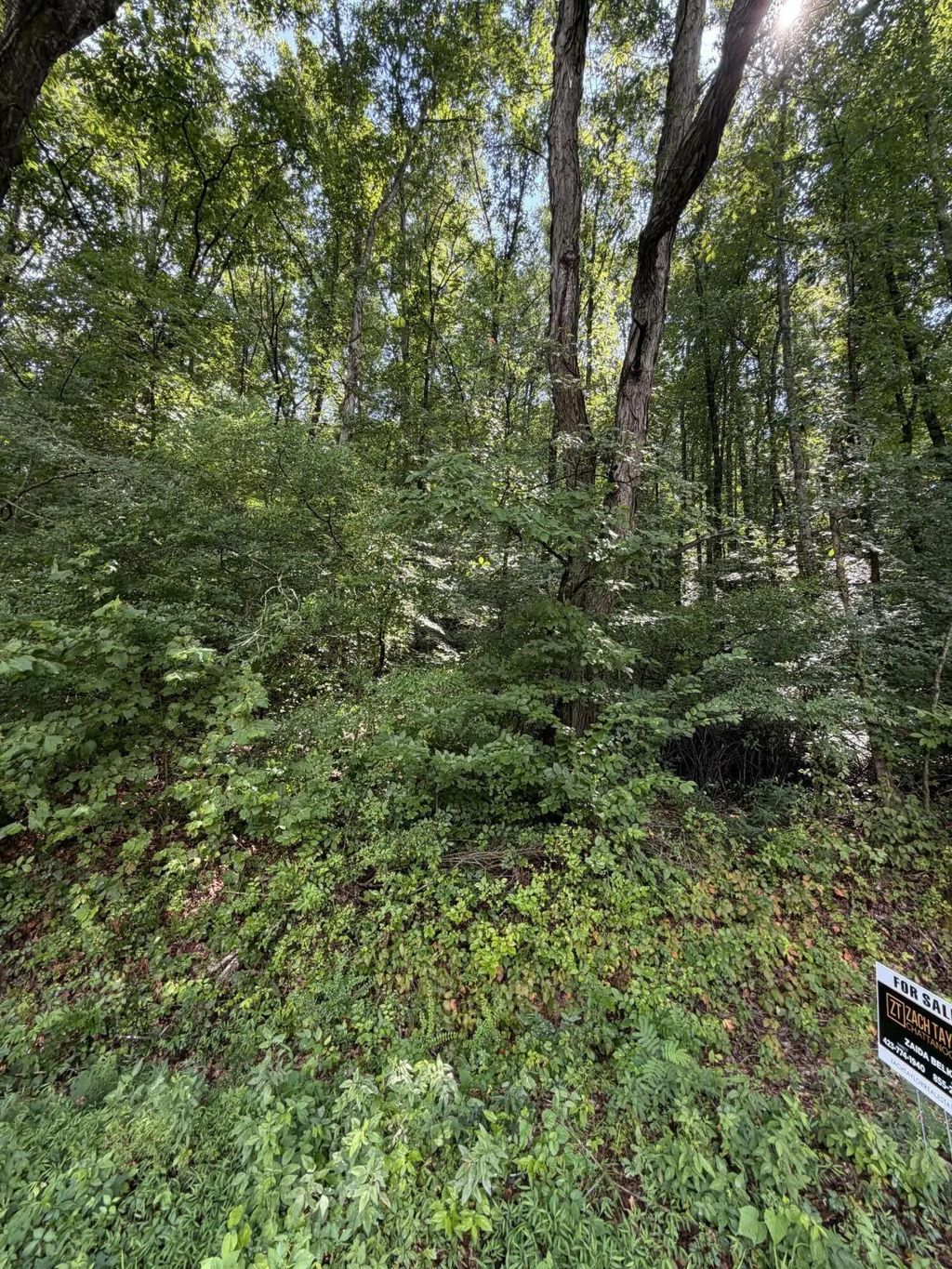 Salem Road, Rossville