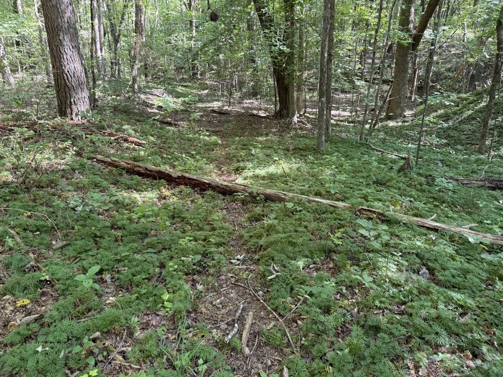 4.16 Acres N Stewart Lane, Rising Fawn
