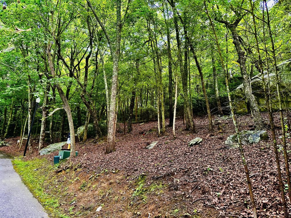 Eagle Creek Trail, Rising Fawn