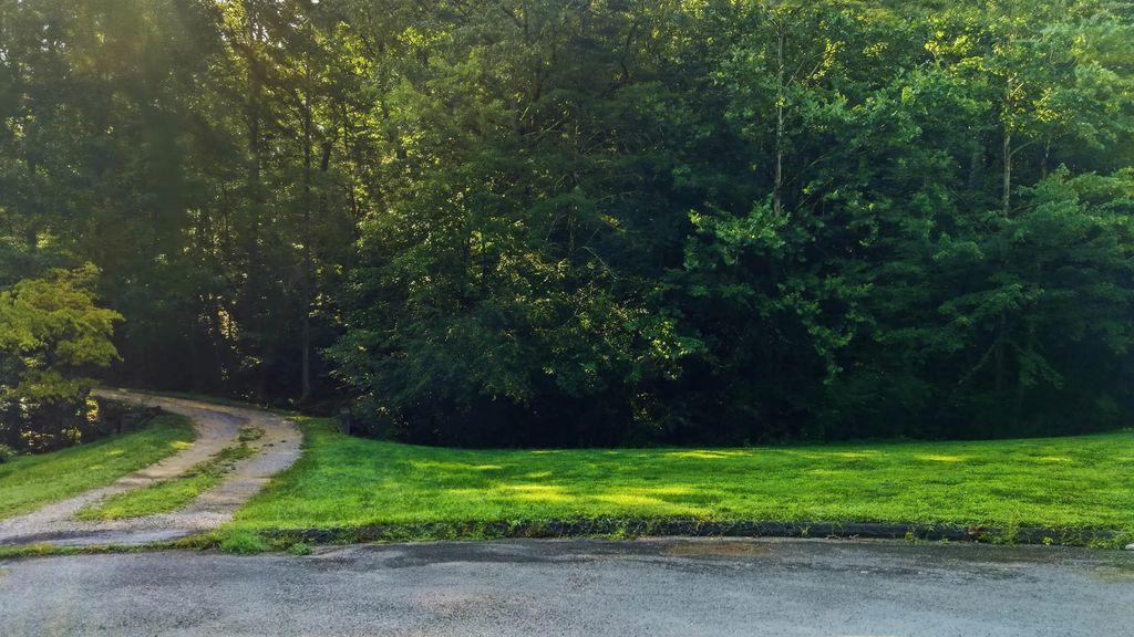 8231 Rolling Stone Lane, Ooltewah