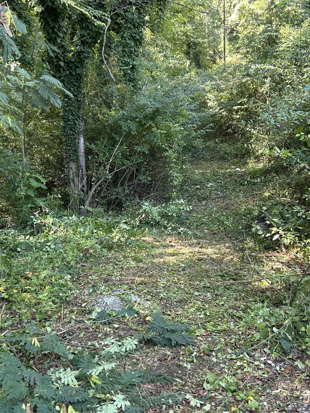 Veterans Way, Chattanooga