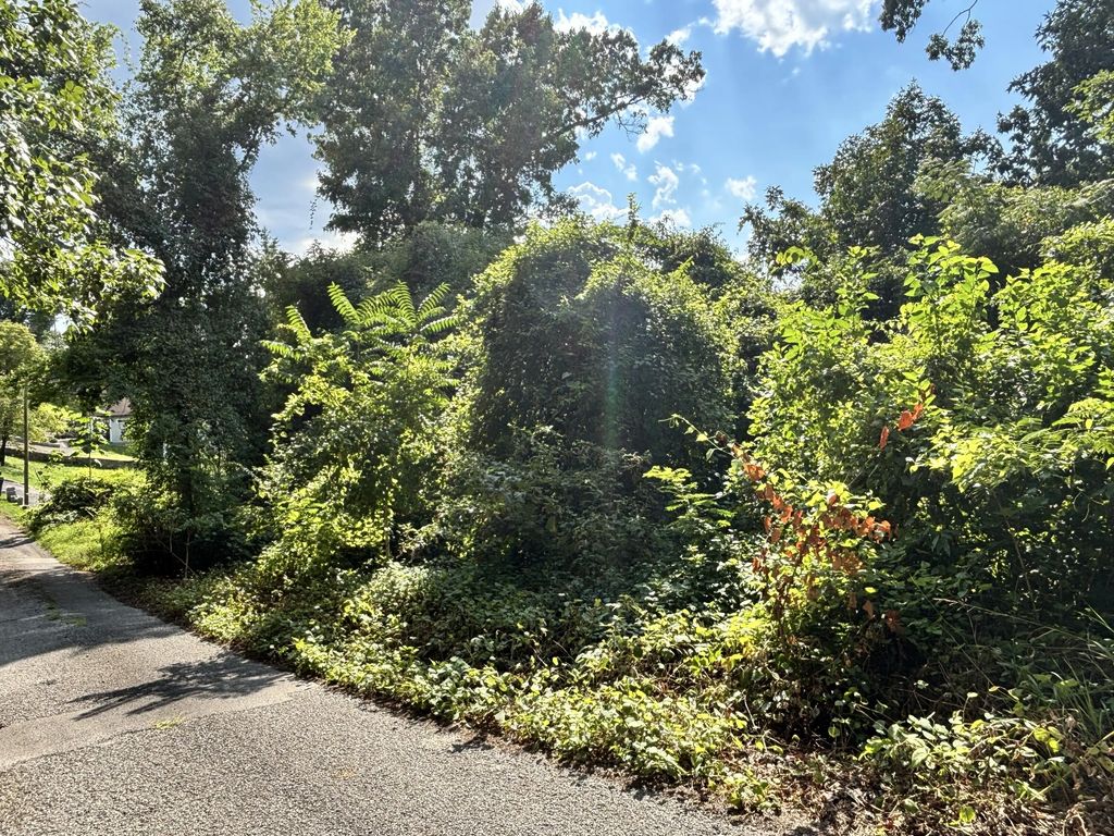 319 Mission Crest Lane, Chattanooga