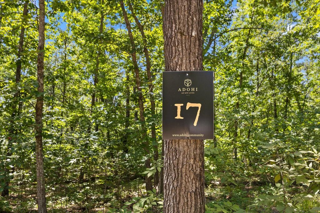 1537 Vulcan Road, Rising Fawn