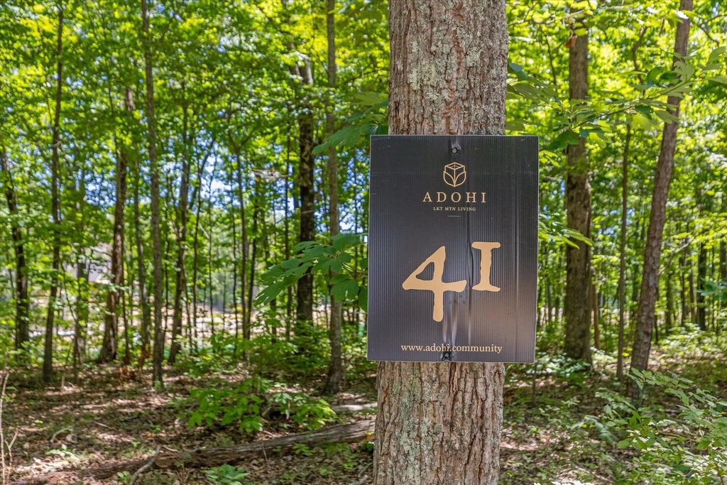 1537 Vulcan Road, Rising Fawn