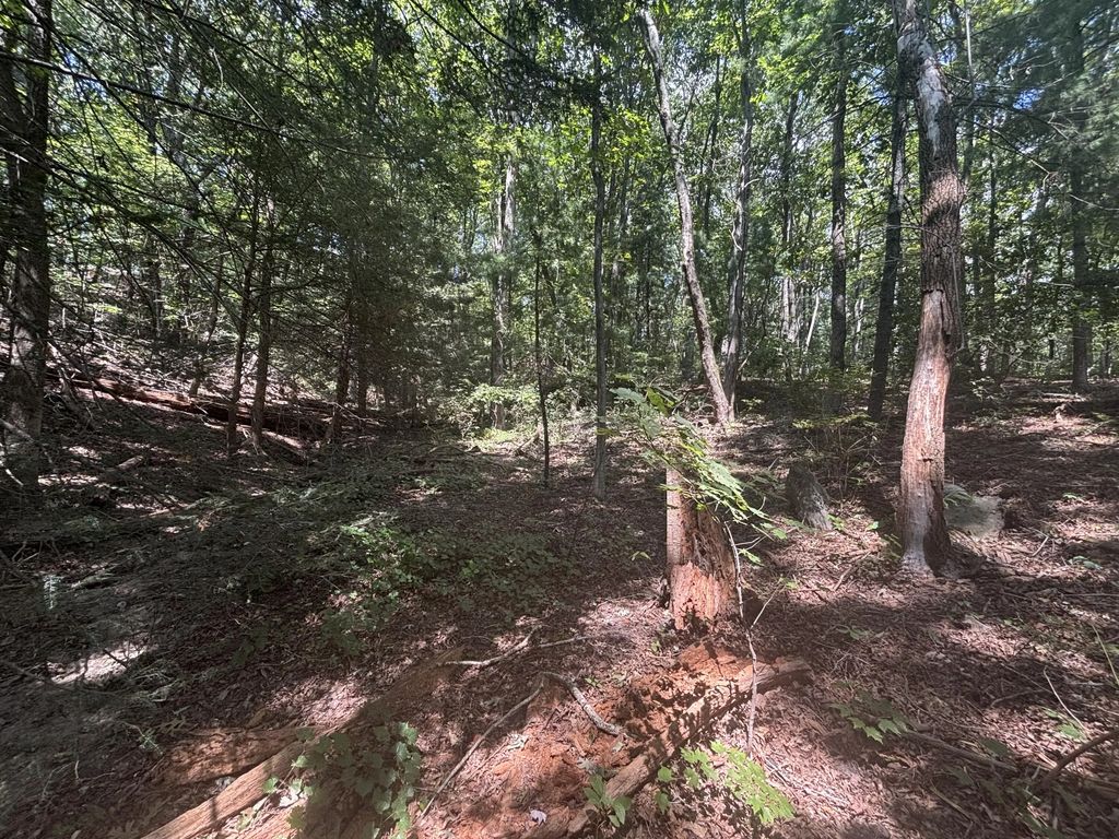 Fort Trace Drive, Lookout Mountain
