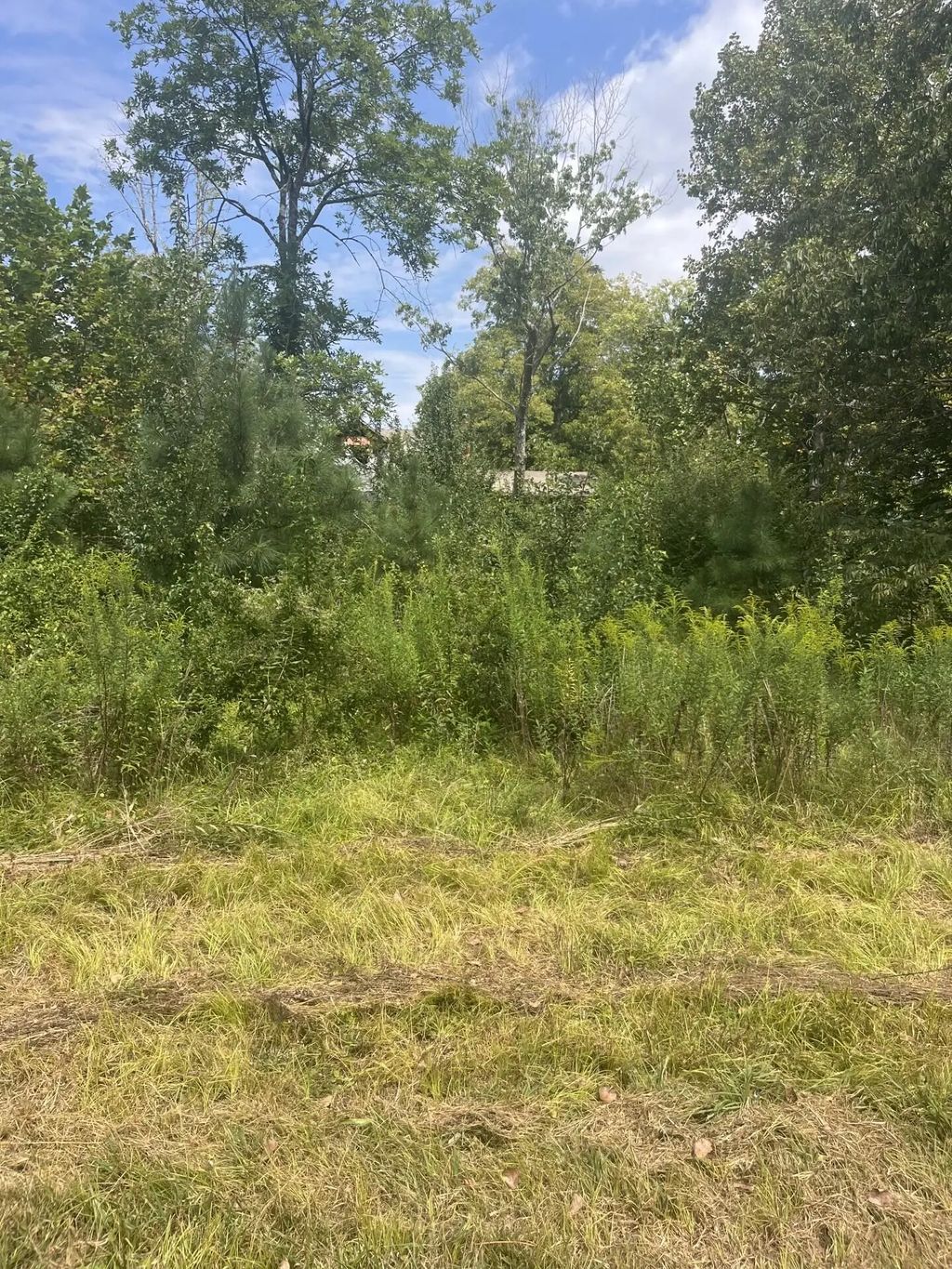 2460 Prospect School Road, Cleveland