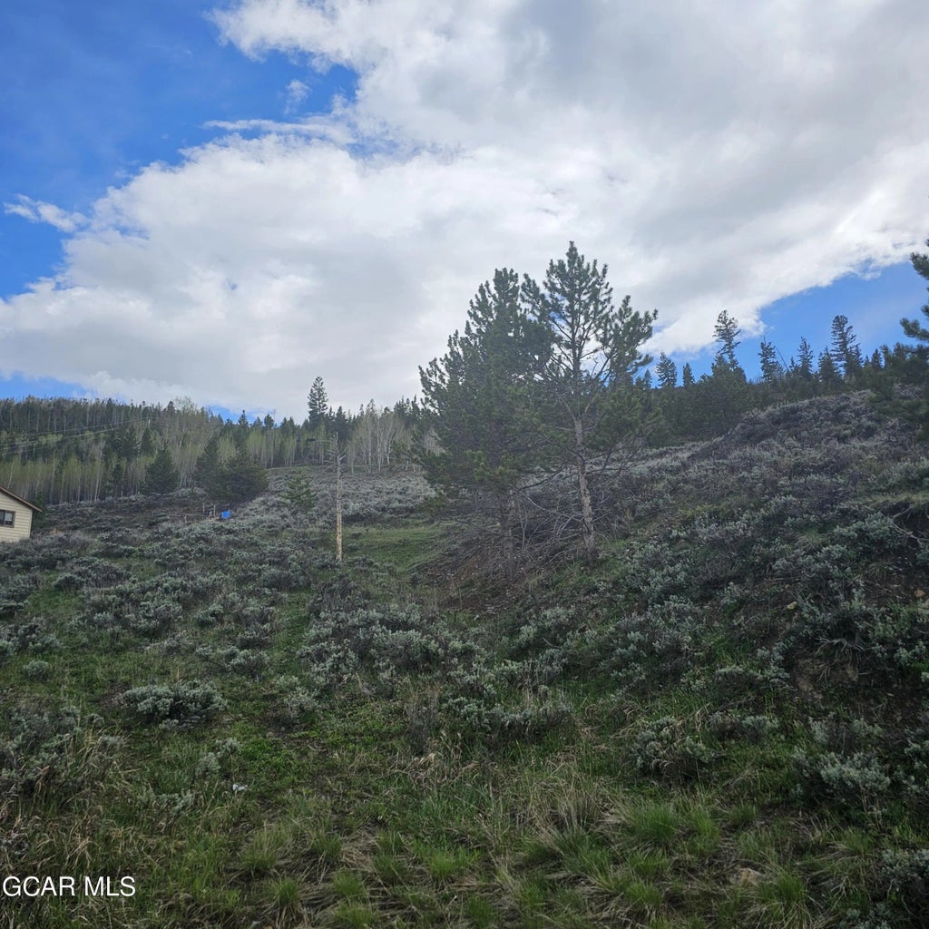 Tbd Roosevelt, Hot Sulphur Springs