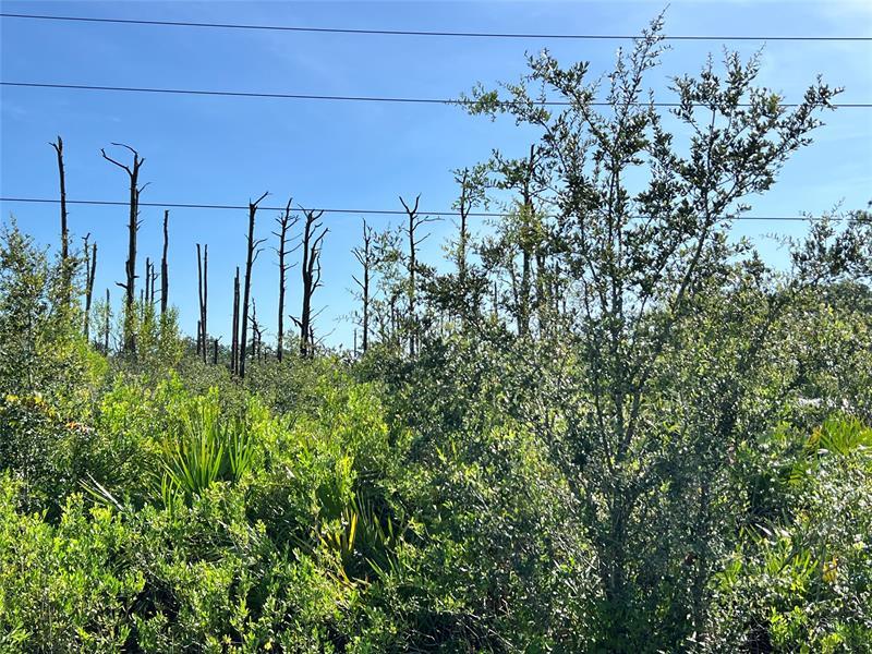 34964 Us Highway 441, Okeechobee